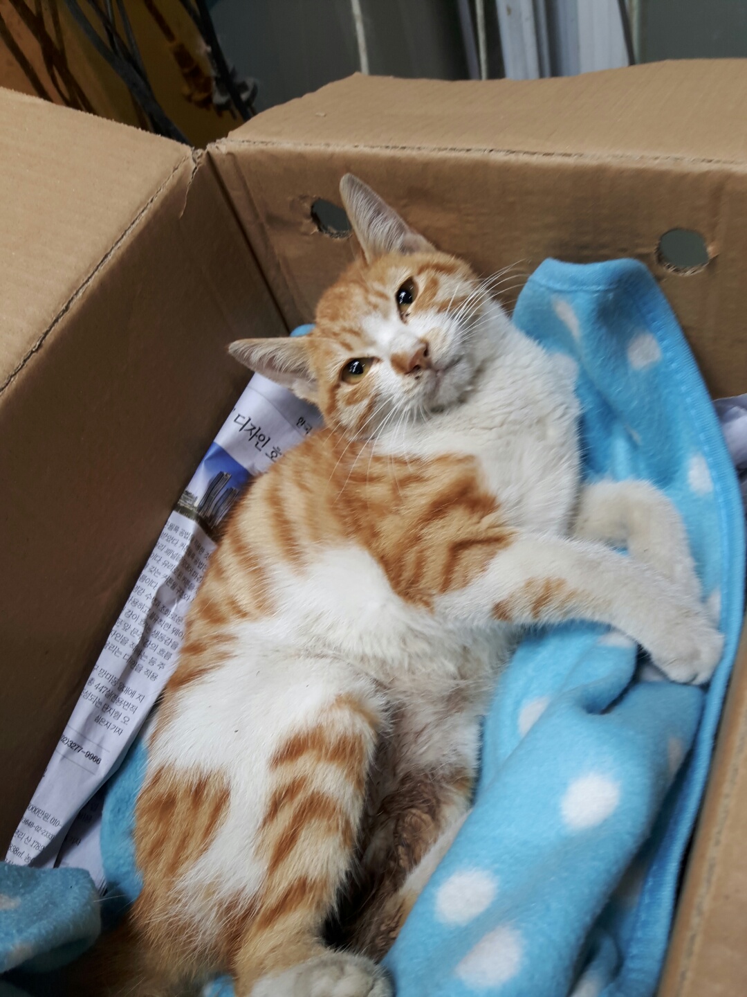 종료(자연사) 한국…